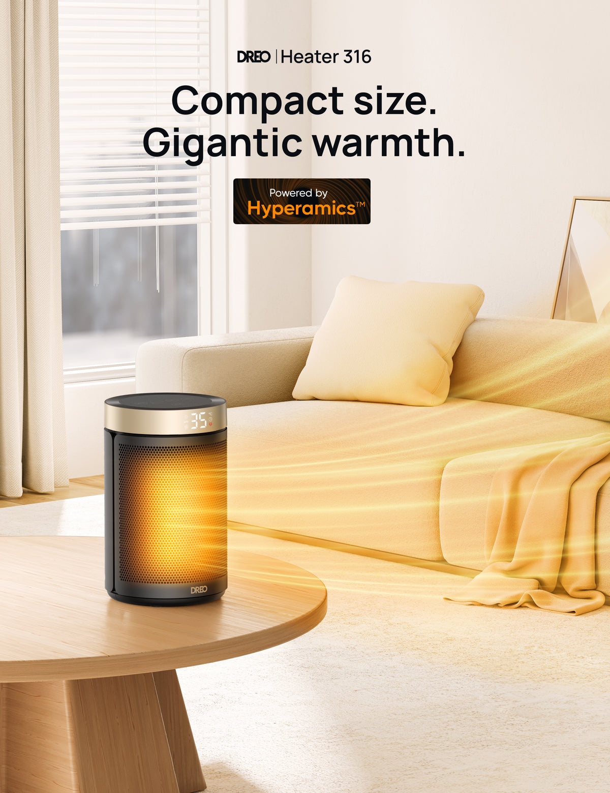 Ceramic Heater 316