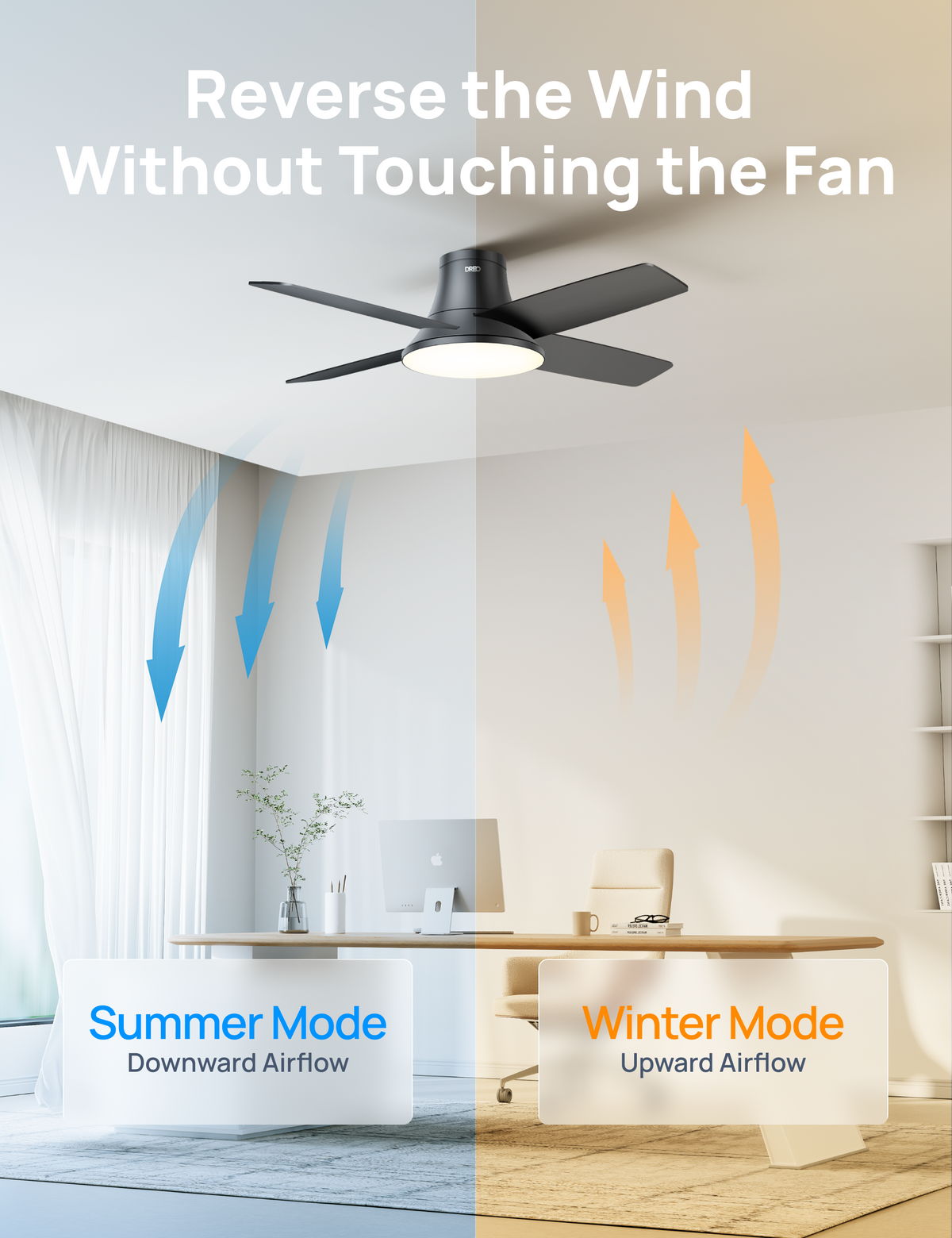 Ceiling Fan 513S